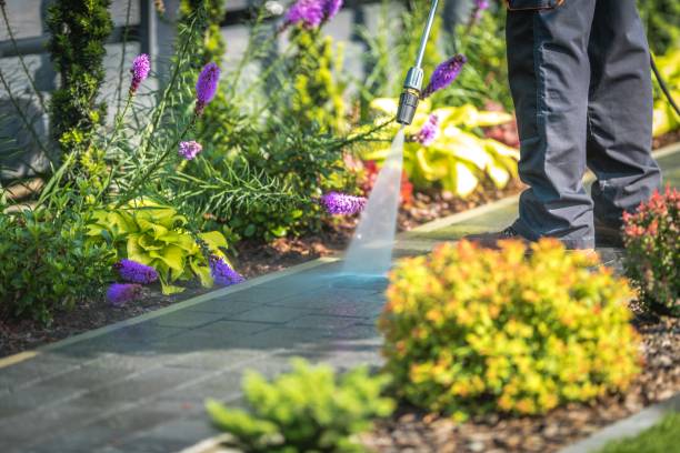 Reliable Mill Hall, PA Pressure Washing Services Solutions